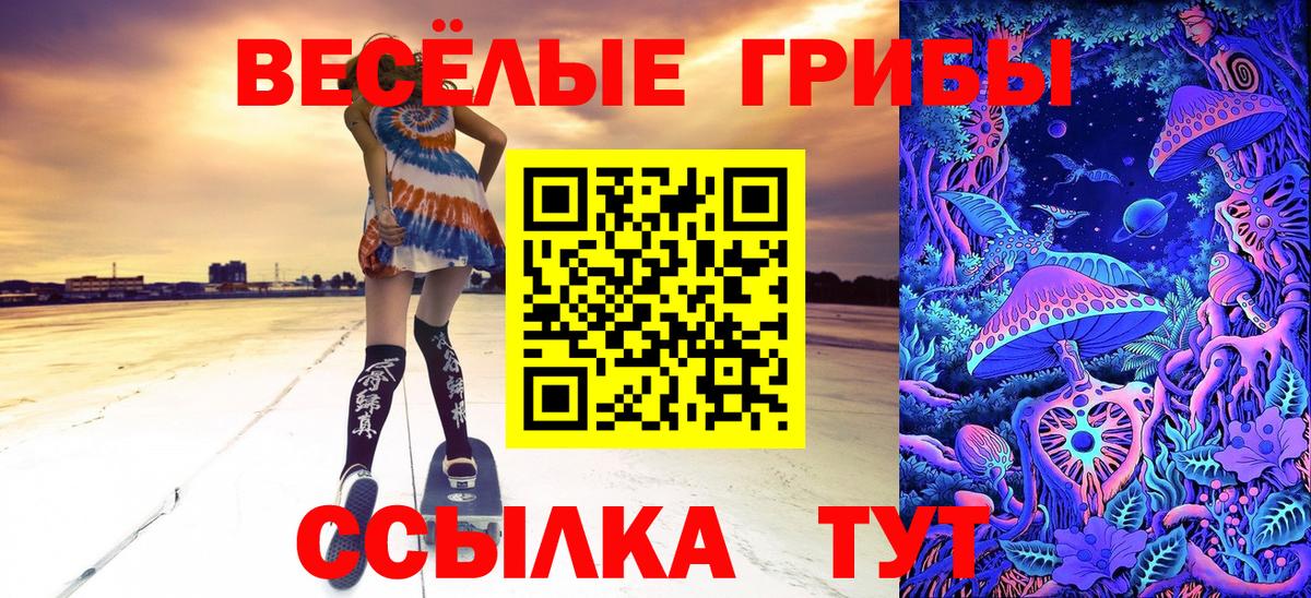 Галлюциногенные грибы мицелий Чебоксары