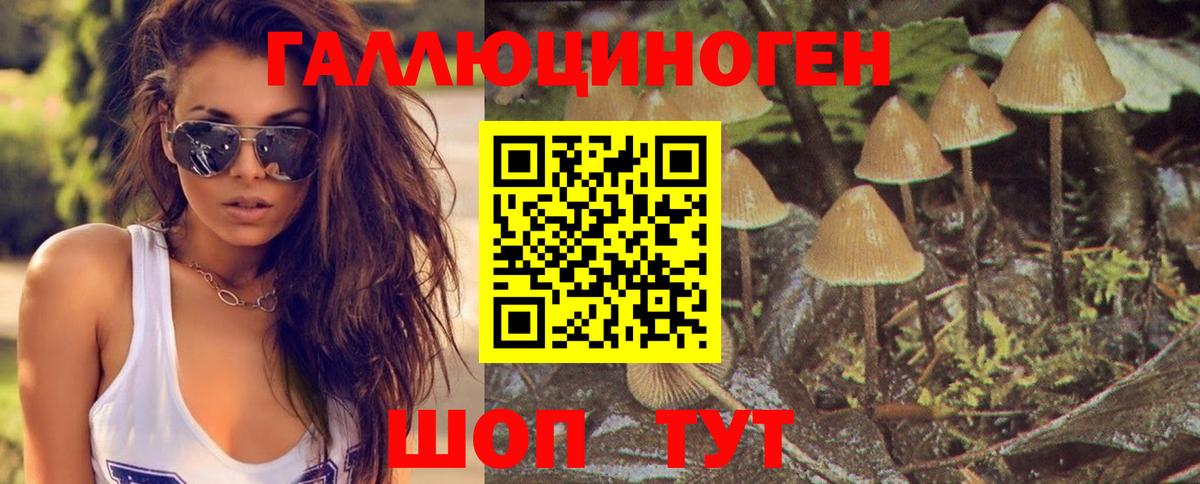 Чебоксары  Галлюциногенные грибы Psilocybe  Вход с VPN 
